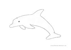 Ausmalbild Delfin