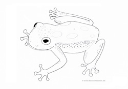 Malvorlage Frosch