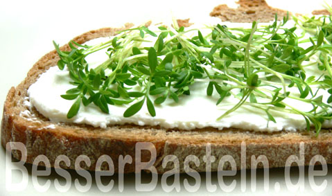 Kressebrot