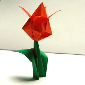 Origami Pflanzen Falten Tulpe