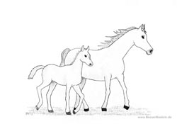 Ausmalbild Pferd mit Fohlen