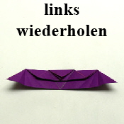 Fledermaus im haus Fledermaus im haus