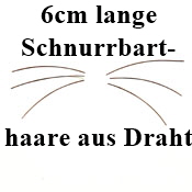 Schritt 50